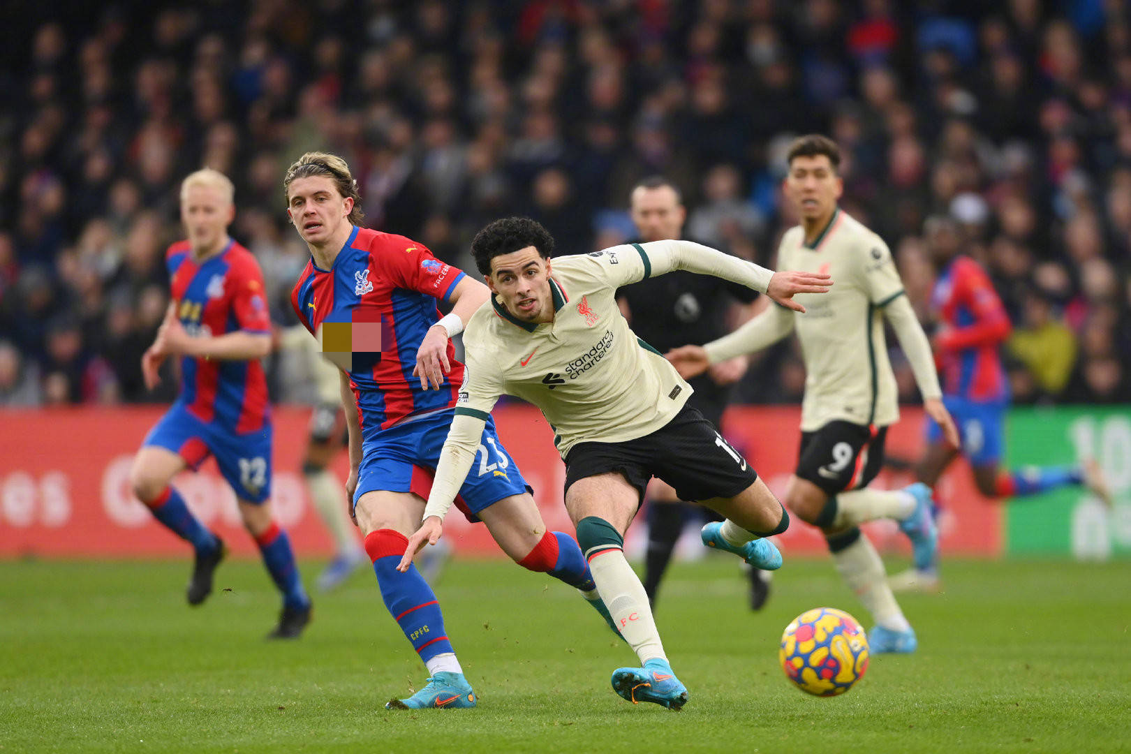 新人筹集资 新人筹集资